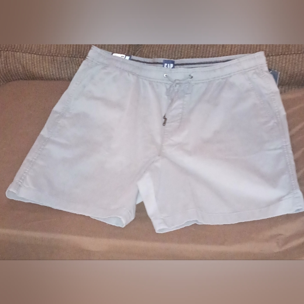 NWT Men's Gap Cotton Shorts (XL)